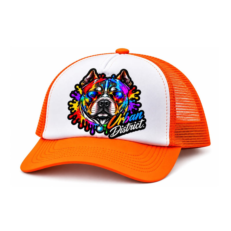 Stealth Snapback